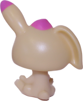No # Rabbit